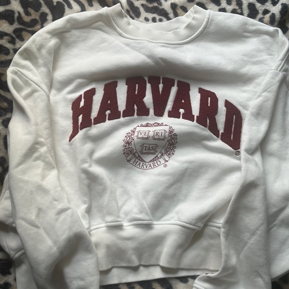 Harvard hoodie
